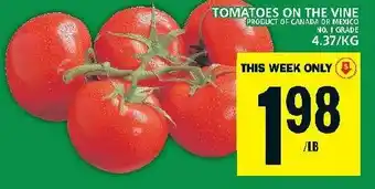 Food Basics TOMATOES ON THE VINE offer