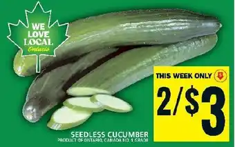 Food Basics SEEDLESS CUCUMBER offer