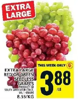 Food Basics EXTRA LARGE RED OR GREEN SEEDLESS GRAPES offer