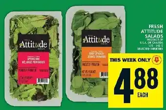 Food Basics FRESH ATTITUDE SALADS offer