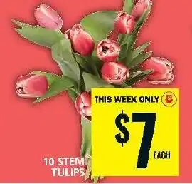 Food Basics 10 STEM TULIPS offer