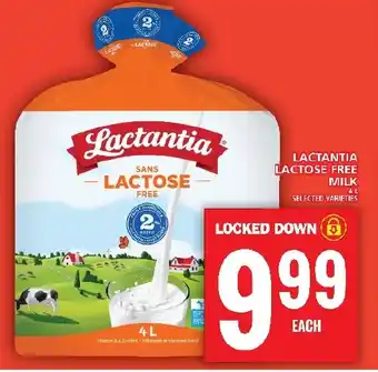Food Basics LACTANTIA LACTOSE FREE MILK 4 L offer
