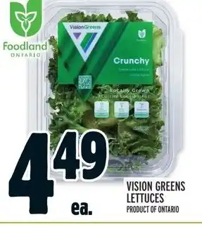 Metro VISION GREENS LETTUCES offer