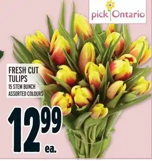 Metro FRESH CUT TULIPS offer