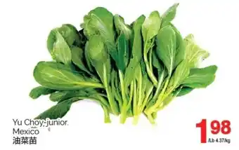 T&T Supermarket Yu Choy-junior Mexico offer