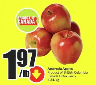 FreshCo Ambrosia Apples offer