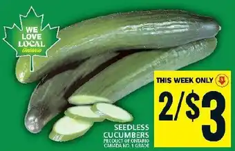 Food Basics SEEDLESS CUCUMBERS offer