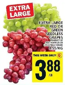 Food Basics EXTRA LARGE RED OR GREEN SEEDLESS GRAPES offer