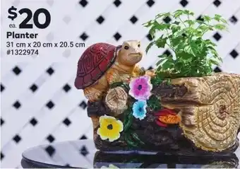 Giant Tiger Planter offer