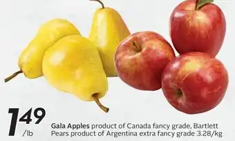 Sobeys Gala Apples offer