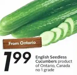 Sobeys English Seedless Cucumbers offer