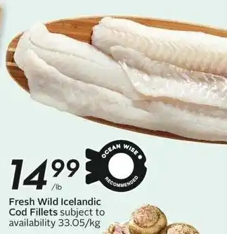 Sobeys Fresh Wild Icelandic Cod Fillets offer