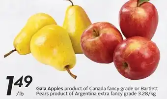 Sobeys Gala Apples offer