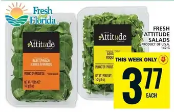 Food Basics FRESH ATTITUDE SALADS offer