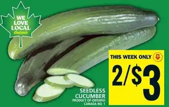 Food Basics SEEDLESS CUCUMBER offer