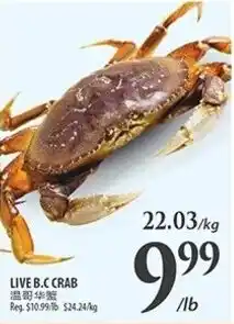 Al Premium Food Mart LIVE B.CCRAB offer