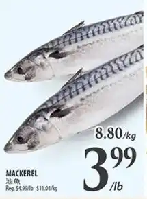 Al Premium Food Mart MACKEREL offer