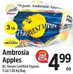 Fairway Market Canada Ambrosia Apples offer