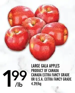 Metro LARGE GALA APPLES offer