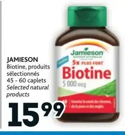 Brunet Jamieson offer