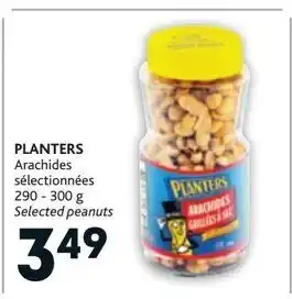 Brunet Planters offer