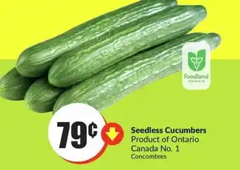 FreshCo Seedless Cucumbers offer