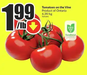 FreshCo Tomatoes on the Vine offer