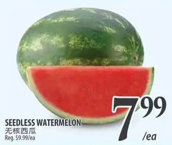 Al Premium Food Mart SEEDLESS WATERMELON offer