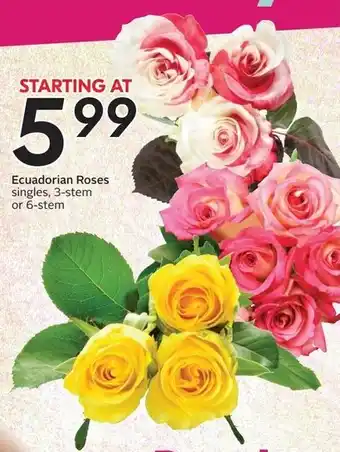Sobeys Ecuadorian Roses singles, 3-stem offer