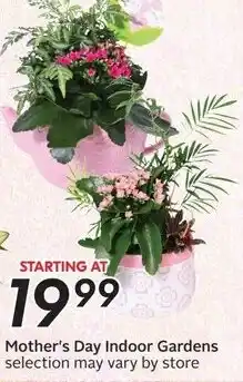 Sobeys Mother's Day Indoor Gardens offer