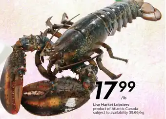 Sobeys Live Market Lobsters offer
