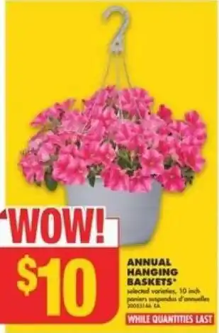 No Frills ANNUAL HANGING BASKETS offer