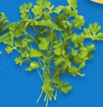 Walmart Cilantro offer