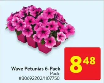 Walmart Wave Petunias 6-Pack offer