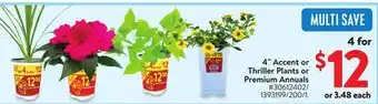 Walmart 4 Accent or Thriller Plants or Premium Annuals offer