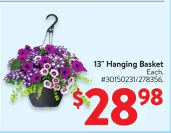 Walmart 13 Hanging Basket offer