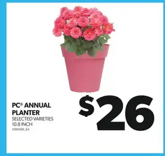 Real Canadian Superstore PC ANNUAL PLANTER, 10.8 INCH offer