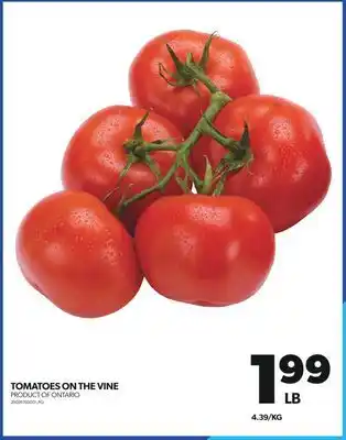 Real Canadian Superstore TOMATOES ON THE VINE offer