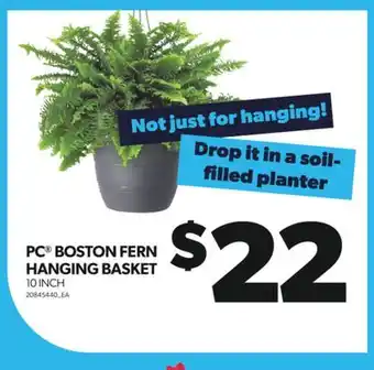 Real Canadian Superstore PC BOSTON FERN HANGING BASKET, 10 INCH offer
