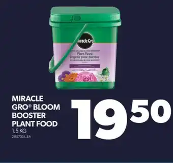 Real Canadian Superstore MIRACLE GRO BLOOM BOOSTER PLANT FOOD, 1.5 KG offer