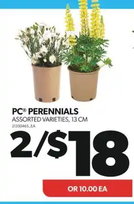 Real Canadian Superstore PC PERENNIALS, 13 CM offer