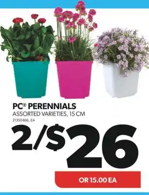 Real Canadian Superstore PC PERENNIALS, 15 CM offer