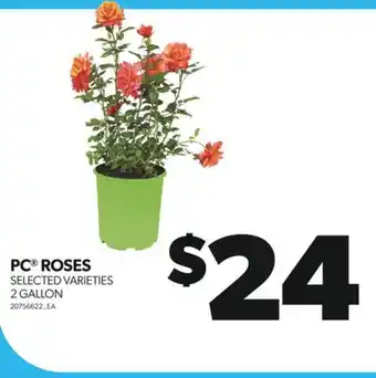 Real Canadian Superstore PC ROSES, 2 GALLON offer