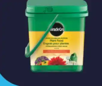 Real Canadian Superstore MIRACLE GRO ALL PURPOSE PLANT FOOD, 1.5 KG offer