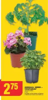 No Frills ANNUALS, HERBS or VEGETABLES*, 4 inch offer