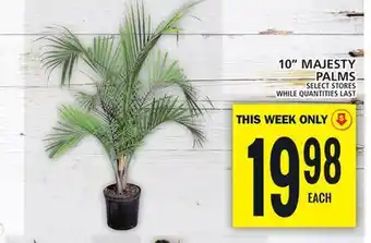 Food Basics 10 MAJESTY PALMS offer