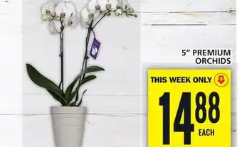 Food Basics 5 PREMIUM ORCHIDS offer