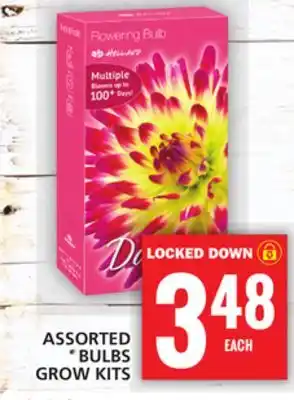 Food Basics ASSORTED BULBS GROW KITS offer