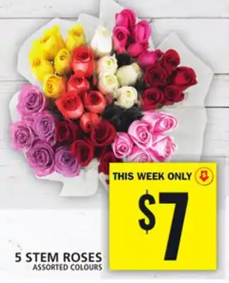 Food Basics 5 STEM ROSES offer