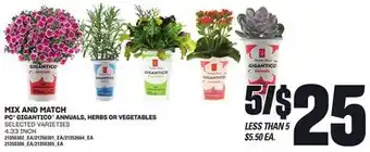 Loblaws PC GIGANTICO ANNUALS, HERBS OR VEGETABLES, 4.33 INCH offer